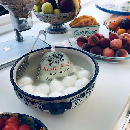 ガーザ テレザ 4*